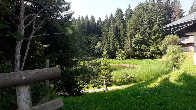 Opinii despre Hôtel Auberge du Lac-des- Joncs în Les Paccots - Gastronomie und Hotellerie