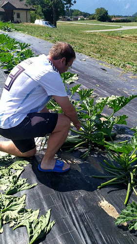 Self-Fruits Perroud - Attalens