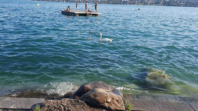 Opinii despre Restaurant Strandbad Tiefenbrunnen în Zürich - Gastronomie und Hotellerie