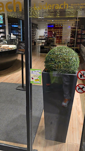 Opinii despre Läderach | Schweiz | Zürich | Bahnhofstrasse 106 în Zürich - Gastronomie und Hotellerie