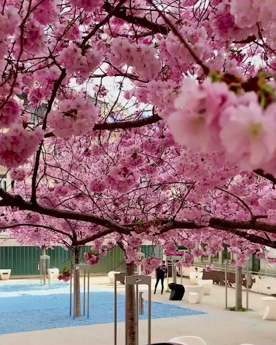 Opinii despre Zenhäusern Sion Place du Midi în Sion - Gastronomie und Hotellerie