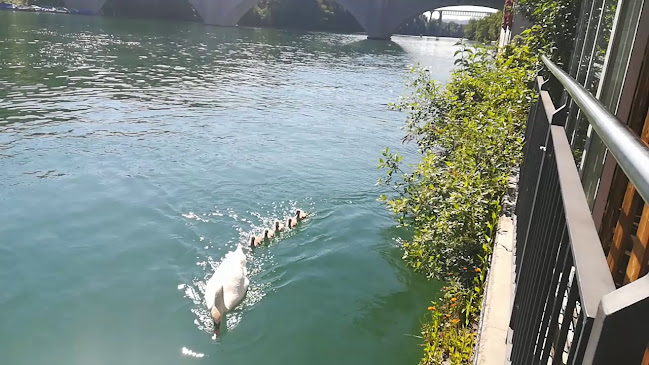 Vivi Kola Bar - Eglisau