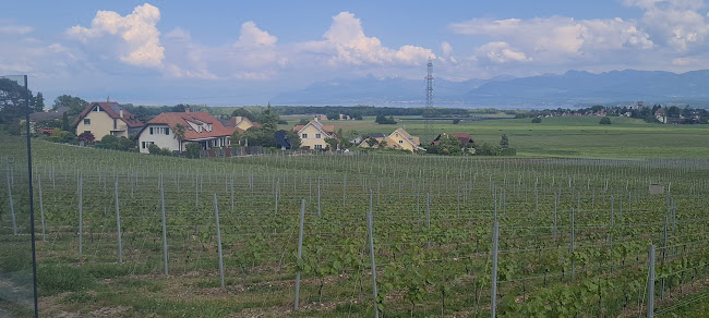 Auberge de l'Etoile - Duillier