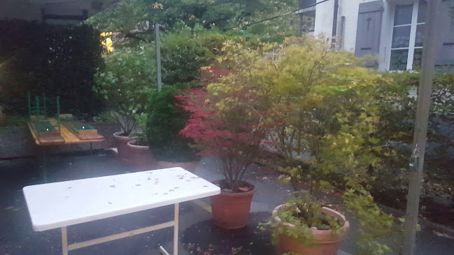 Opinii despre chlyne Hecht în Bern - Gastronomie und Hotellerie