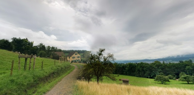 Blüemlisalp - Herrliberg