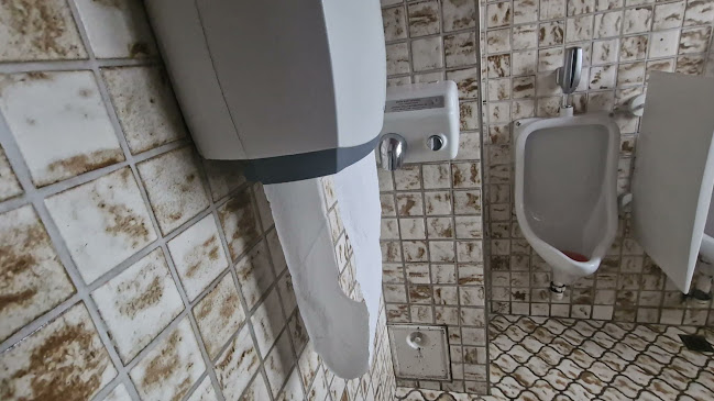 Comentarii opinii despre Gasthof zum Schütz GmbH