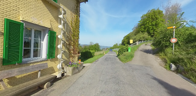 Opinii despre Blüemlisalp în Herrliberg - Gastronomie und Hotellerie