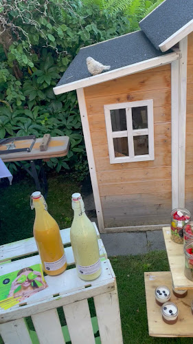 Comentarii opinii despre James Jar & Co.