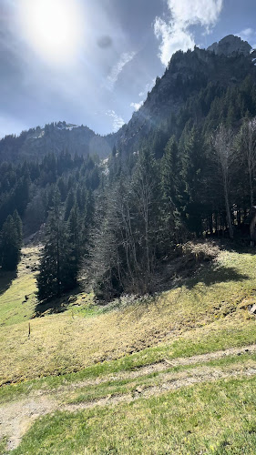 Bergwirtschaft zur Alpgschwänd - Gastronomie und Hotellerie
