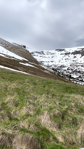 Berggasthaus Gamsalp - Wildhaus