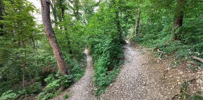 Schloss Schartenfels