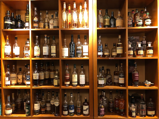 Comentarii opinii despre artcibar