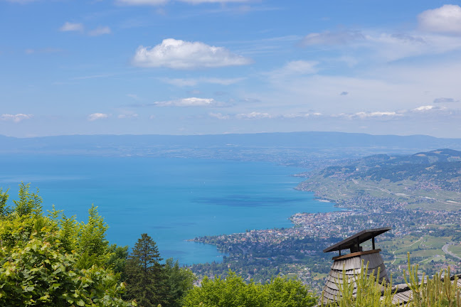 Comentarii opinii despre Le Coucou Montreux