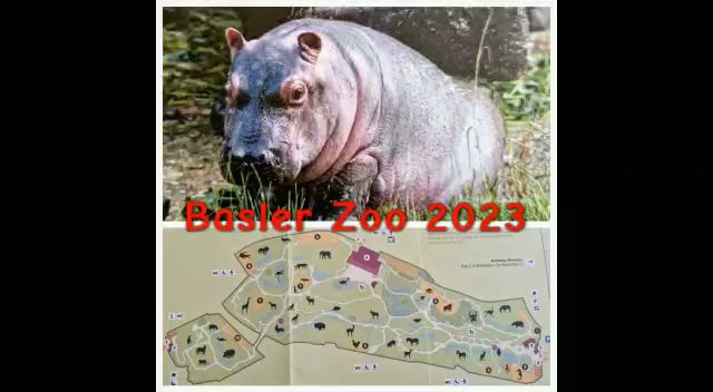 Bergwirtschaft Dürstel - Langenbruck