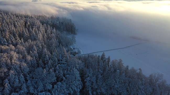 Comentarii opinii despre Albishaus