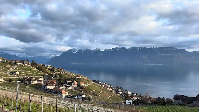 Opinii despre Domaine Vitis Musicalis în Bourg-en-Lavaux - Gastronomie und Hotellerie