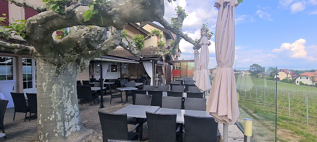 Opinii despre Auberge de l'Etoile în Duillier - Gastronomie und Hotellerie