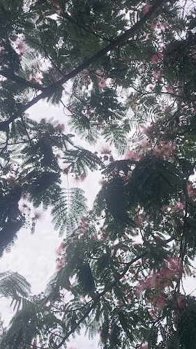 Opinii despre Tea Room de l'Athénée în Geneva - Gastronomie und Hotellerie