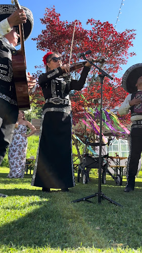 Opinii despre Frida Seefeld în Zürich - Gastronomie und Hotellerie