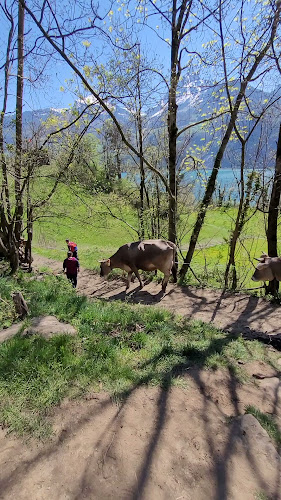 Burg-Strahlegg GmbH - Weesen