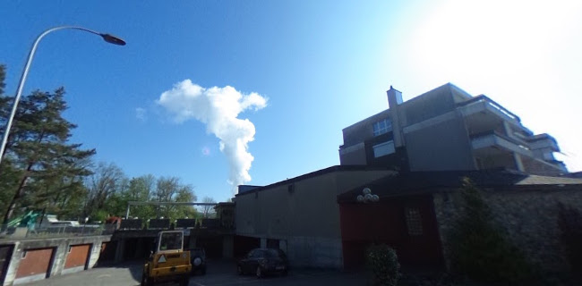 Opinii despre Landgasthof Fähre în Obergösgen - Gastronomie und Hotellerie