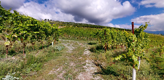 Rue de la Cotzette, 1971 Sion