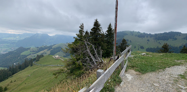 Opinii despre Plan-Francey în Moléson-sur-Gruyères - Gastronomie und Hotellerie