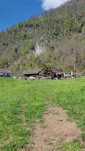 Comentarii opinii despre Burg-Strahlegg GmbH