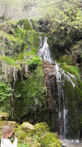 Restaurant du Theusseret - Gastronomie und Hotellerie