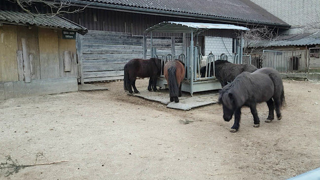 Restaurant Rütihof, Gränichen - Gastronomie und Hotellerie