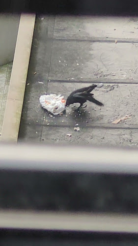 Opinii despre Café des Pyrénées în Bern - Gastronomie und Hotellerie