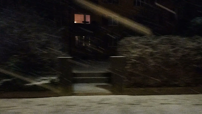 O'Callaghan's Shamrock Irish Pub - Gastronomie und Hotellerie