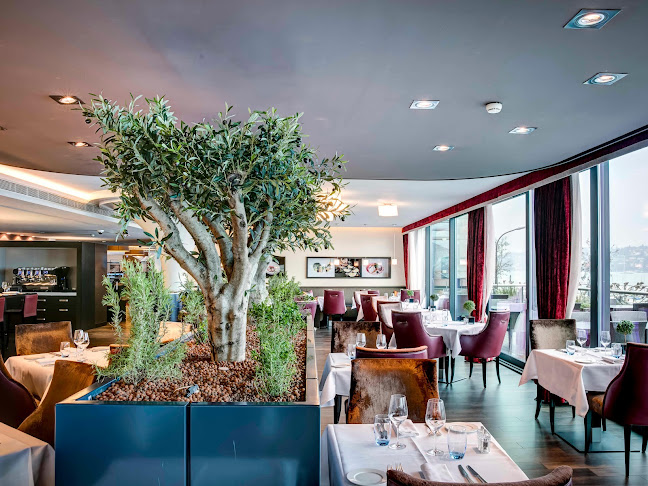 Comentarii opinii despre IL VERO