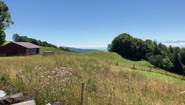 La Werdtberg Hôtel, Restaurant. Chez Armon et Felix