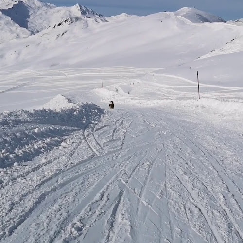 Mäderbeiz Pischa - Gastronomie und Hotellerie
