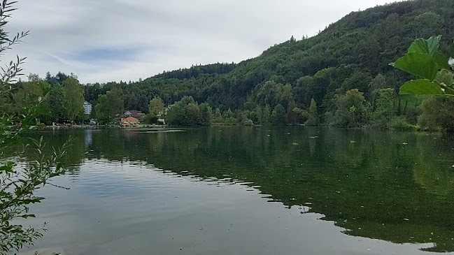 Galerie am See - Buchs