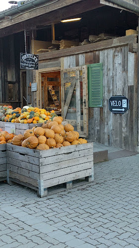 Juckerhof, Jucker Farm AG