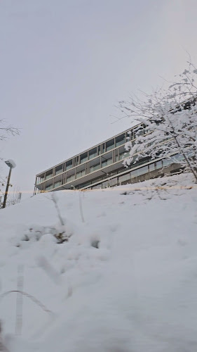 Belvoir Restaurant & Grill - Gastronomie und Hotellerie