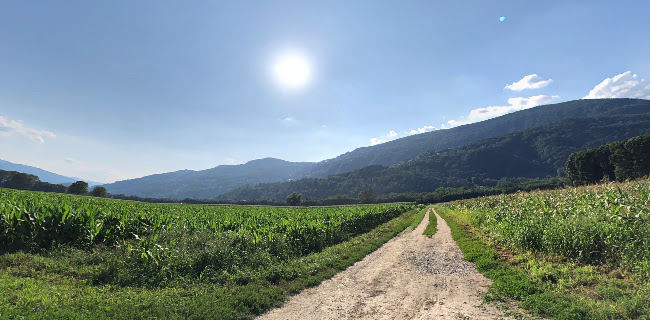 Tenuta Bally & von Teufenstein - Gastronomie und Hotellerie