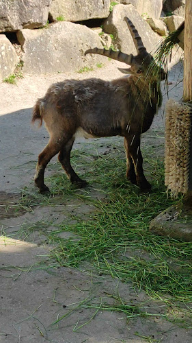 Comentarii opinii despre Selbstbedienung im Wildpark Roggenhausen