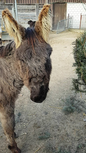Rütihof 1, 5722 Gränichen