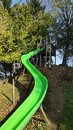 Erlebnisland Grizzlybär - Forst-Längenbühl