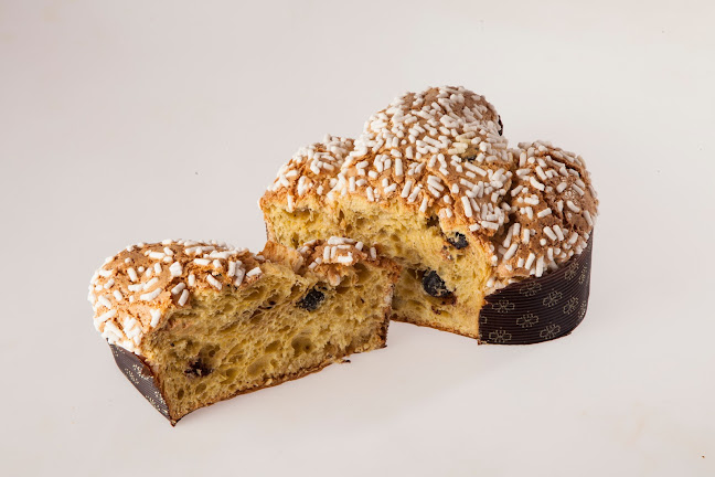 Comentarii opinii despre GANT