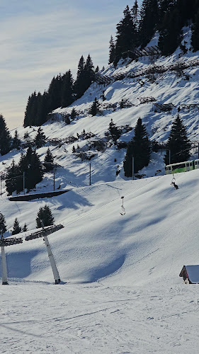 Col de Bretaye, 1884 Ollon