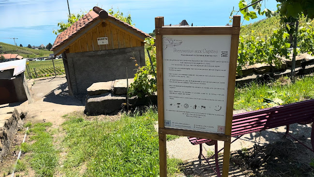 Domaine Vitis Musicalis - Bourg-en-Lavaux