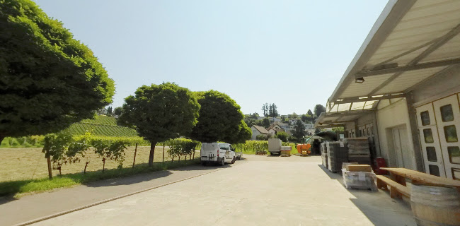 Weingut zum Sternen - Gastronomie und Hotellerie