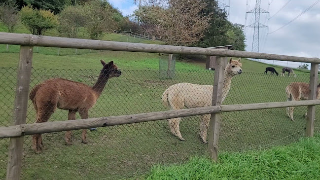 Restaurant & Reithof Egglisgraben