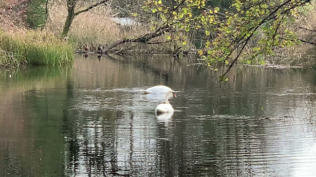 Comentarii opinii despre Restaurant Jägerheim
