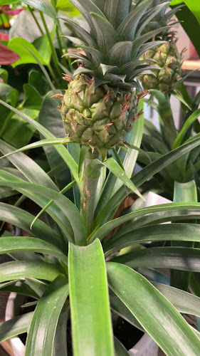 Opinii despre Coop Restaurant Buchs în Buchs - Gastronomie und Hotellerie