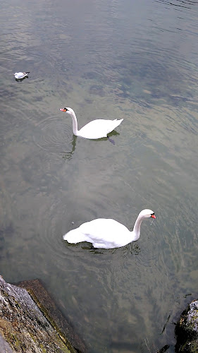 Opinii despre Cantinetta Bindella Solothurn în Solothurn - Gastronomie und Hotellerie